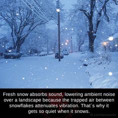 a snowy street with trees and lights in the background, some snow falling on the ground