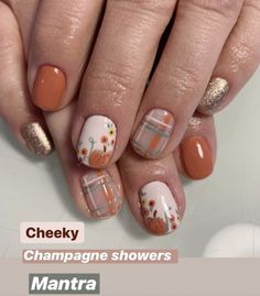 Cute Fall Art, Thanksgiving Nails Acrylic, Cute Nails Design, Autumn Nails Design, Burnt Orange Nails, Short Nails Design, Thanksgiving Nail