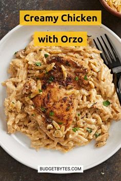 creamy chicken with orzo on a white plate