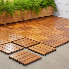 a wooden floor with plants growing on it in front of a wall that is made out of wood planks