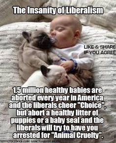 a baby laying on top of a bed next to a dog and text that reads, the insanity of liberation 1 million healthy babies are aborted every year in america and