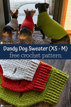 three small dogs wearing sweaters sitting in front of an open door with the words, free crochet pattern