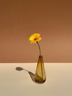 a single yellow flower in a brown vase