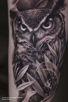 an owl with a hat on it's head is shown in this tattoo design