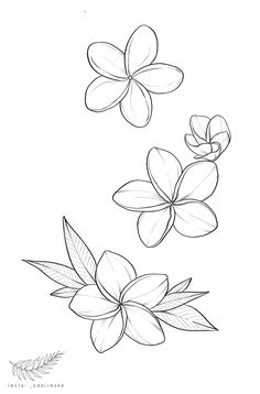 two flowers with leaves on the side and one flower in the middle, drawn by hand