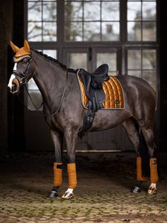 a brown horse standing in an open area with its saddle on it's back