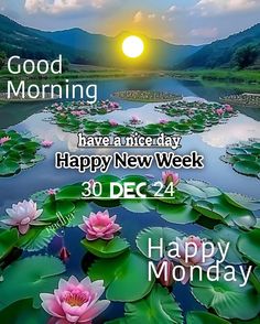 good morning have a nice day happy new week 30 dec 24 wishing you all the best