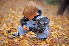 a little boy sitting on the ground with leaves around him and looking at his cell phone