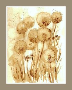 a painting of dandelions in sepia and white with watercolor on paper