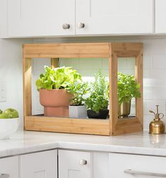 a kitchen with white cabinets and plants in the window sill on the counter top