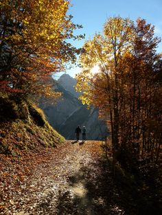 two people are walking down a path in the woods with autumn leaves on the ground