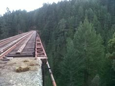 an old train track in the middle of a forest