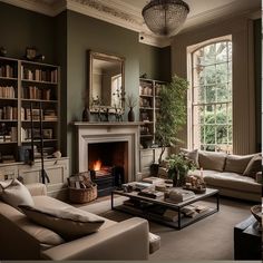 a living room filled with furniture and a fire place in front of a window next to a book shelf