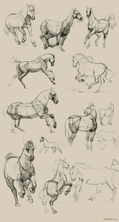 some drawings of horses are shown in black and white