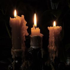 three lit candles sitting next to each other