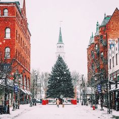 two people walk down a snowy street in front of buildings and a large christmas tree