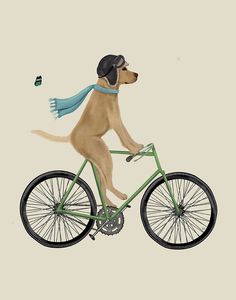 Labrador Yellow in Flying Helmet on Bicycle Dog Riding Bike, Watercolor Crafts, Trip Scrapbook, Art Overlay, Labrador Yellow, Dog Bike, Cartoon Ideas, Biking With Dog, Bike Print