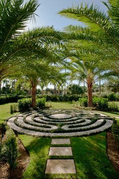 the garden is surrounded by palm trees