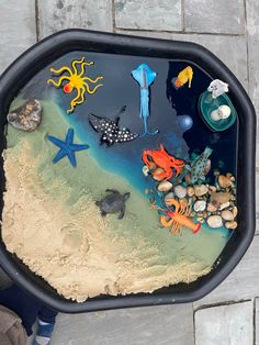 a child's sand tray with various sea life on the bottom and under it