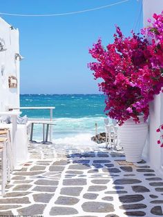 an alley way leading to the beach with purple flowers