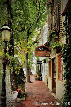 an alley way with lots of greenery on both sides and a lamp post in the middle