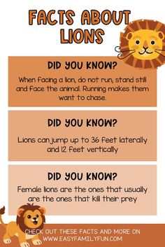 an animal fact sheet for kids to learn how to tell if they are lions or lions