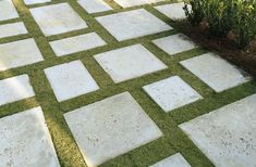 a white and black checkerboard sidewalk next to a tree in the grass,