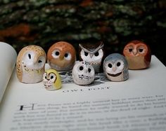 an open book with five owls sitting on top of it's pages next to each other