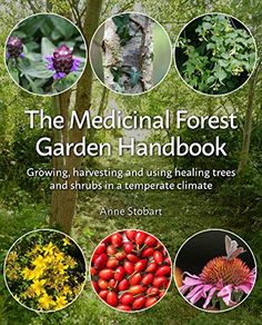 the medical forest garden handbook growing, harvesting and using health trees and shrubs in a temperate climate