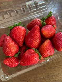 a plastic container filled with lots of ripe strawberries