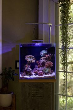 an aquarium is lit up in front of a window