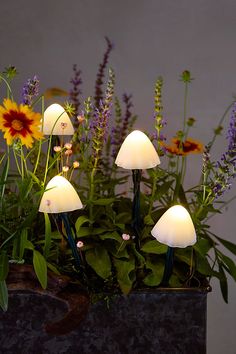 a group of mushrooms sitting on top of a planter filled with plants and flowers