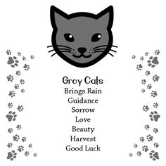 an image of a black cat with paw prints on it's back ground and the words grey cats, brinds rain, guidance, snow, love, beauty harvest good luck