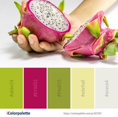 a person holding a dragon fruit in their hand with color palette swatches below it