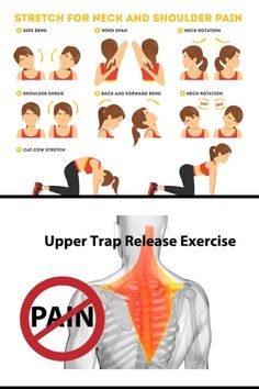 the back pain chart shows how to do it and how to use it in order to reduce