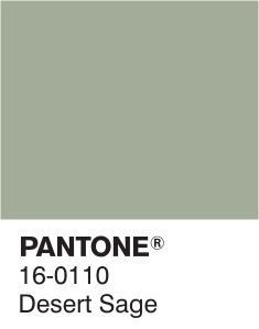 pantone's desert sage color is shown