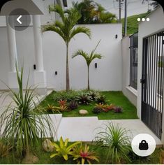 an outdoor garden with grass and plants in the middle, next to a white fence