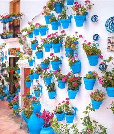 many potted plants on the side of a building