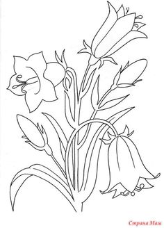 some flowers that are in the middle of a line art style drawing with black and white ink