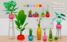 there are many potted plants in different colors on the table and behind them is a stool