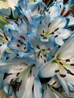 blue and white flowers with red stamens are in the middle of a bouquet