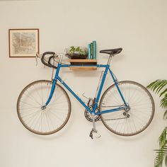 a blue bicycle mounted to the side of a wall next to a potted plant