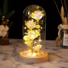 lighted flowers in a glass dome on a table