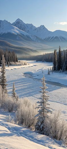 a snowy landscape with trees and mountains in the background