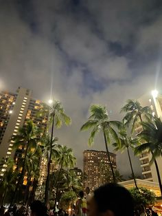 palm trees line the street in front of tall buildings with lights on them at night