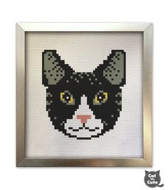 a black and white cat with yellow eyes is shown in a silver frame on the wall