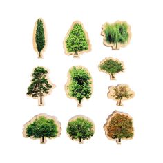 nine different types of trees are shown in the shape of cutouts on a white background