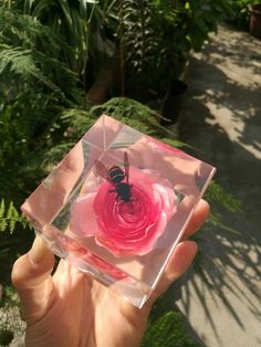 a person holding up a small glass box with a pink flower in it and a bee on top