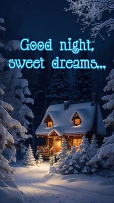 a snowy night with a house and trees in the foreground that says good night, sweet dreams