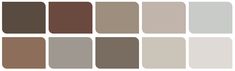 the different shades of brown and gray are shown in this image, with each color to choose